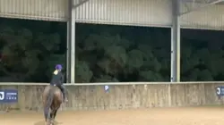 Horse Riding