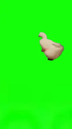 running duck meme