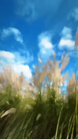 Slowmotion video 🩵🤍✨