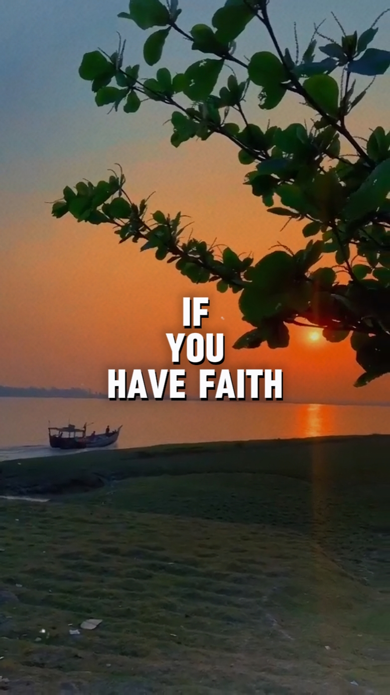 Have Faith