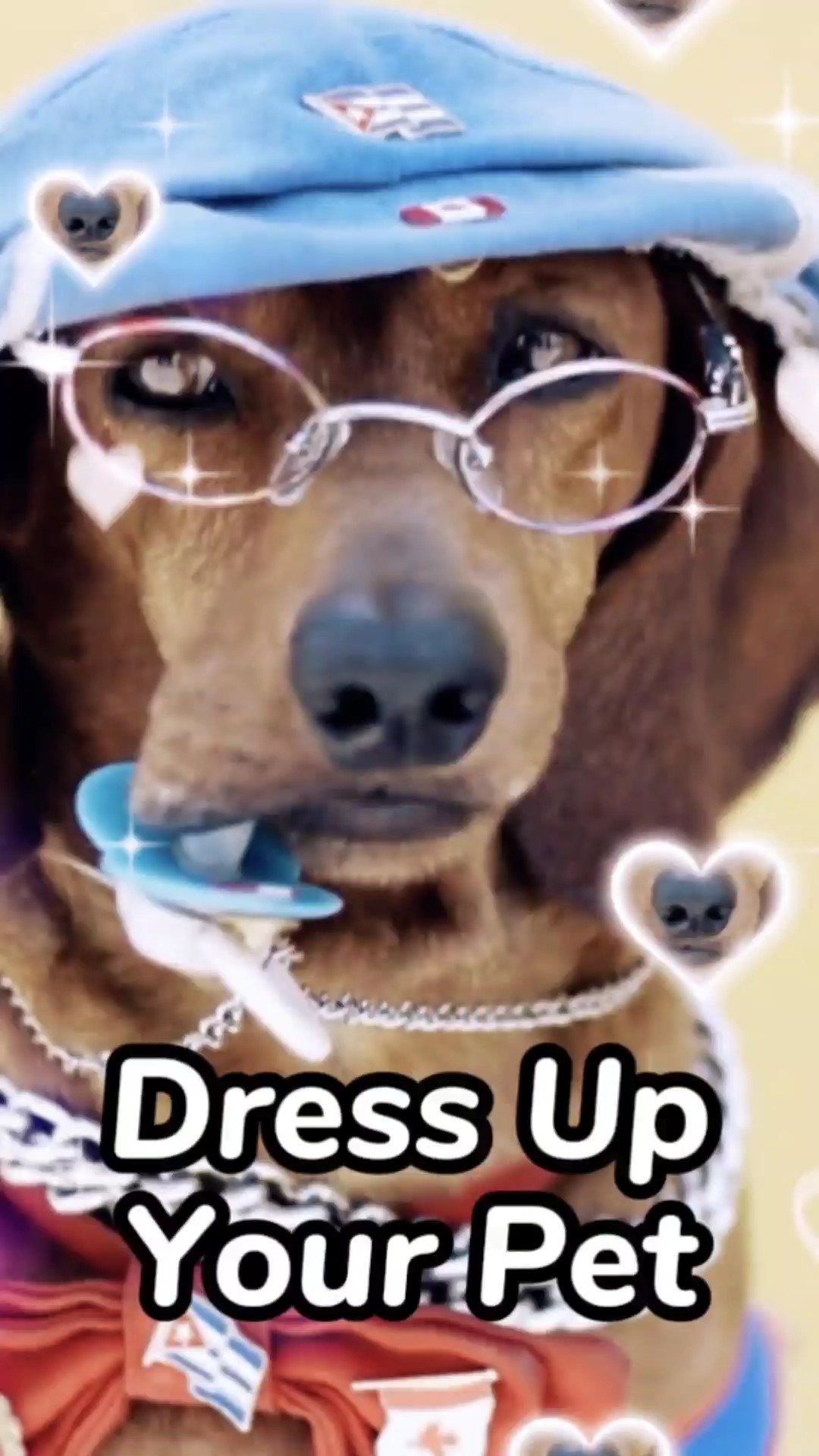 Colección de Ropa para Mascotas en Estilo TikTok