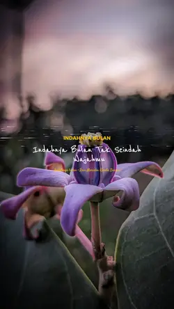 INDAHNYA BULAN