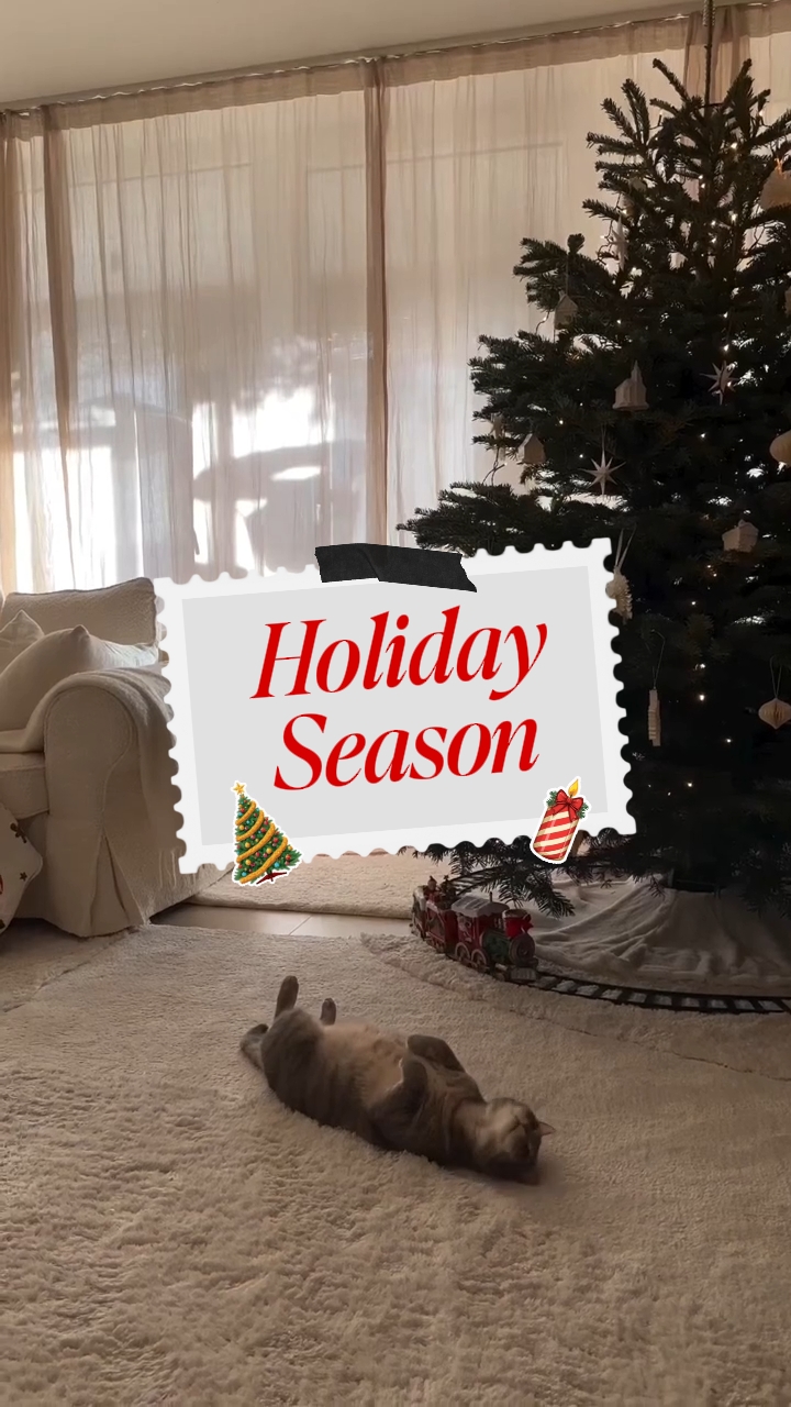 holiday season