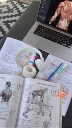 Fisioterapia