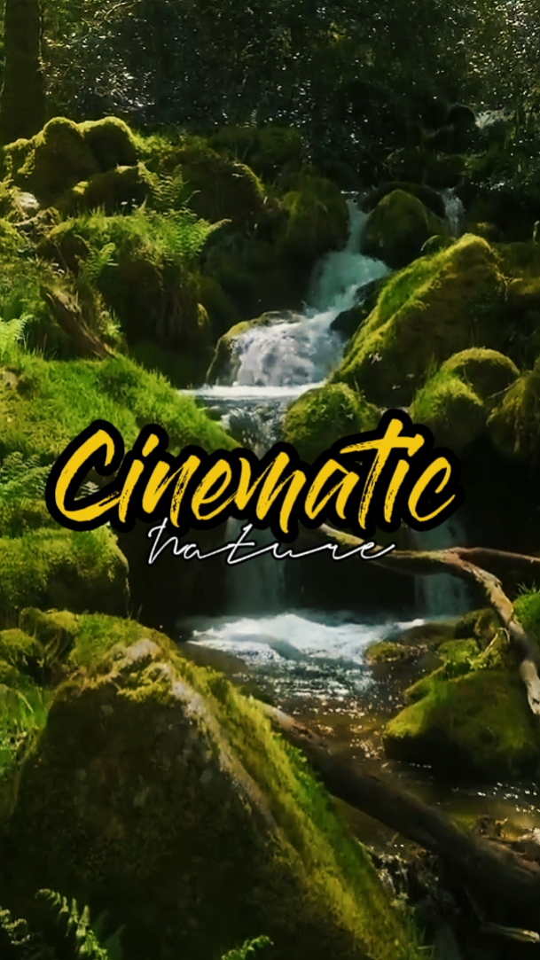 cinematic nature 