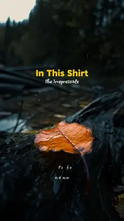 In This Shirt -song