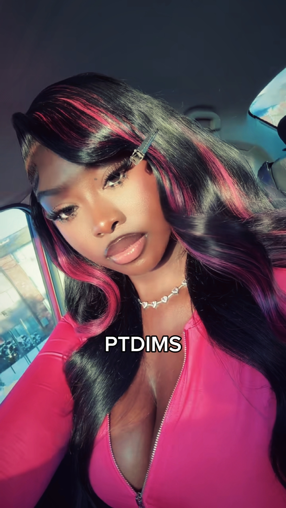PTDIMS