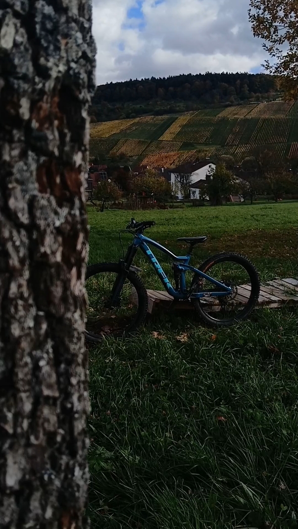 bike edit
