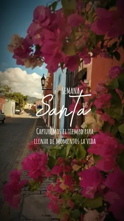 S.Santa Momentos