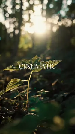 CINEMATIC