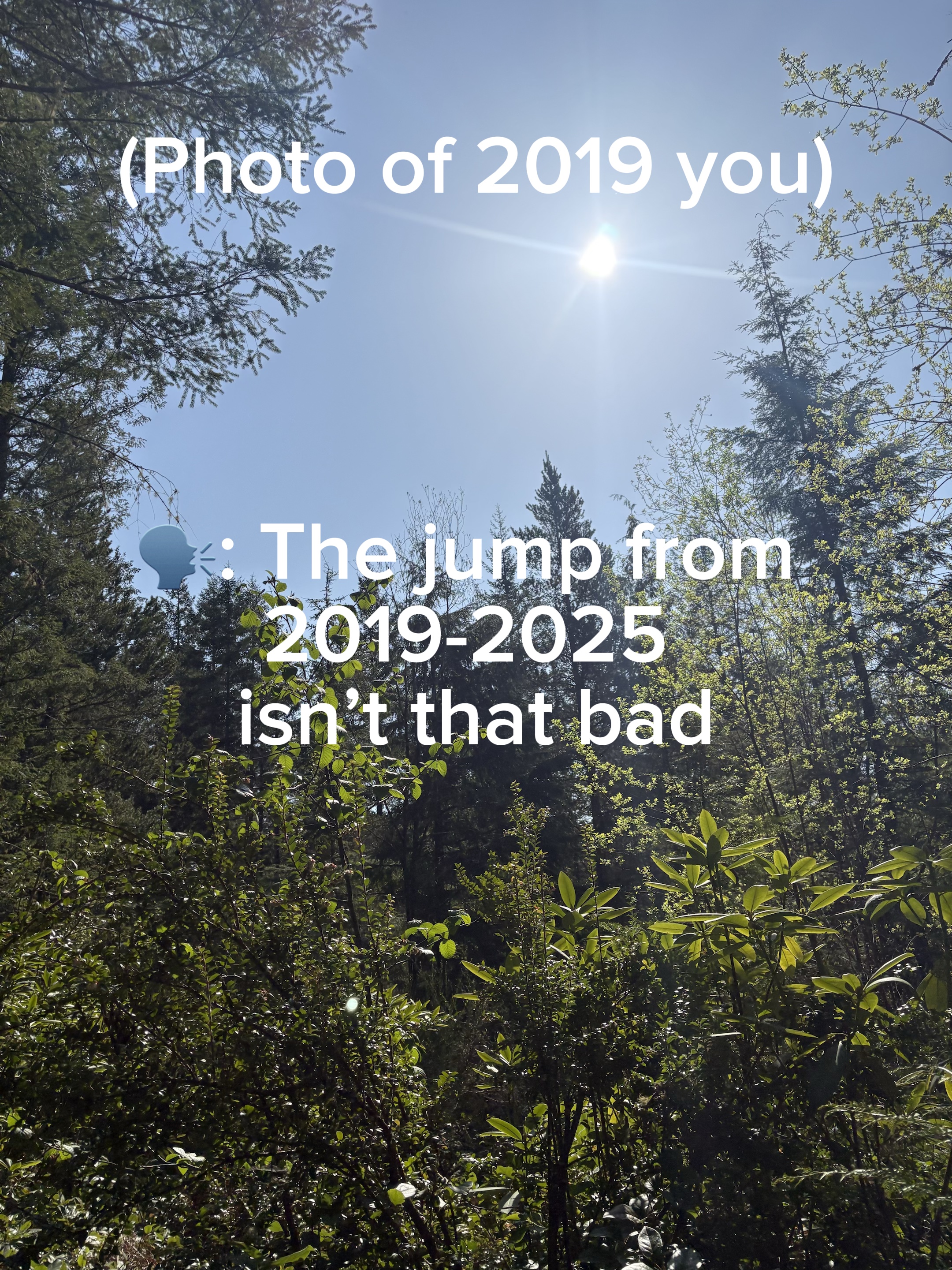 Template 2019-2025 