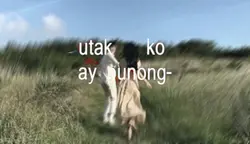 imahinasyon