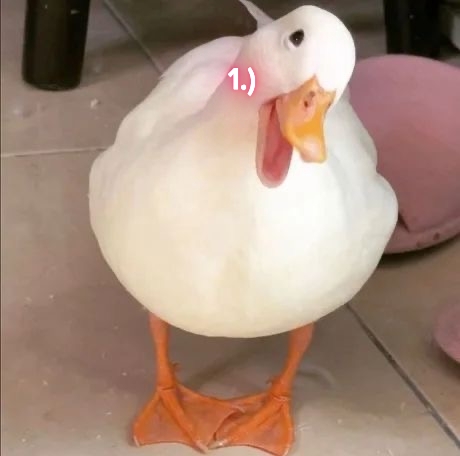 새 템플릿 
