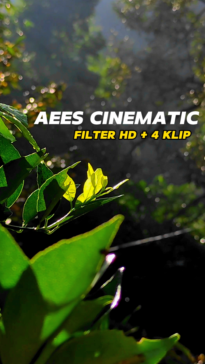Aees Cinematic HD 