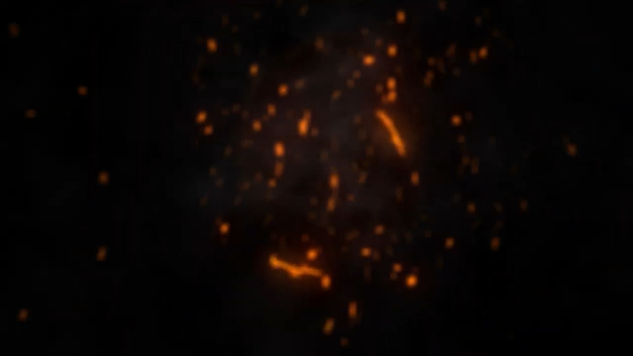 circle of fire