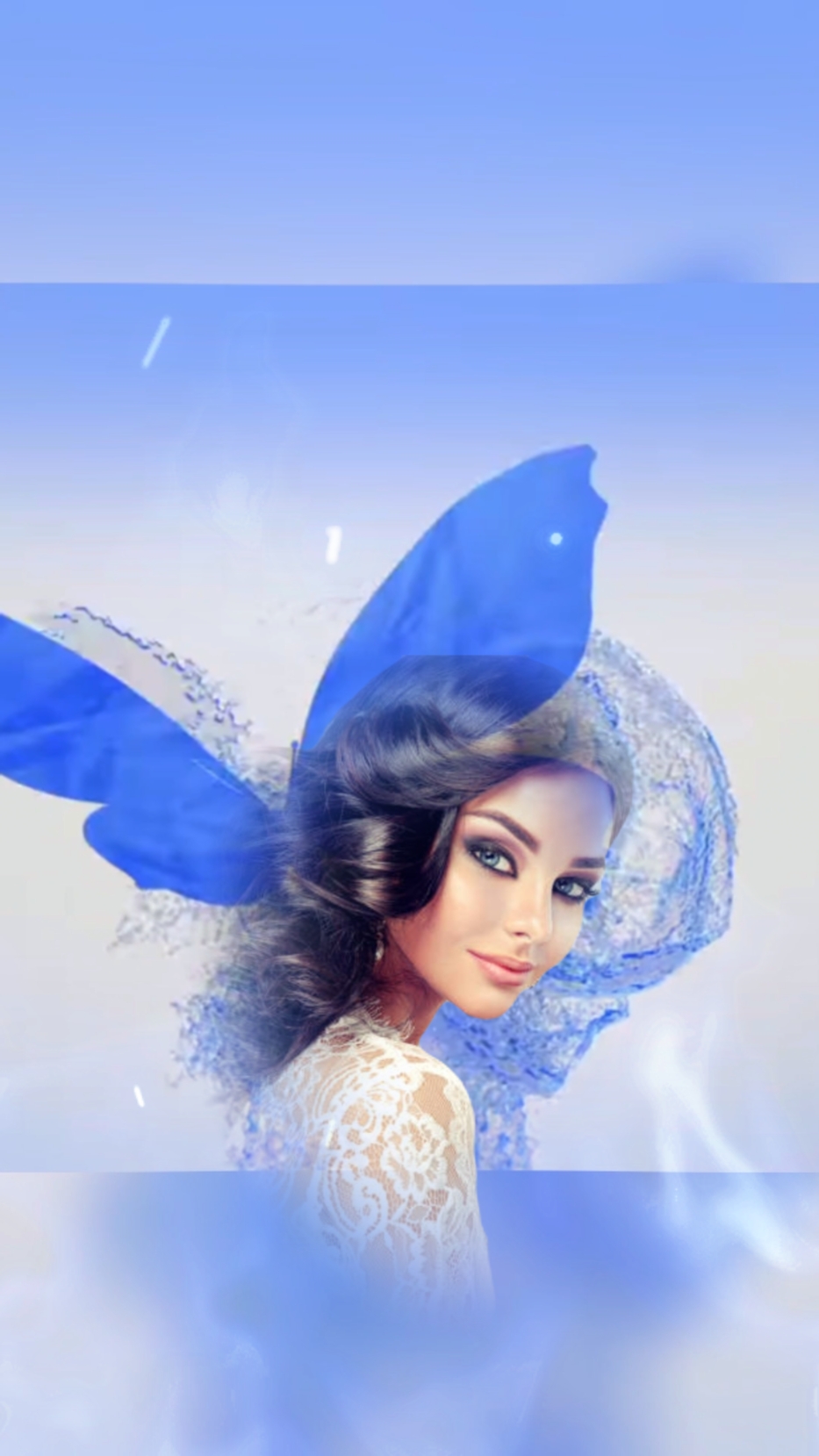 Butterfly 