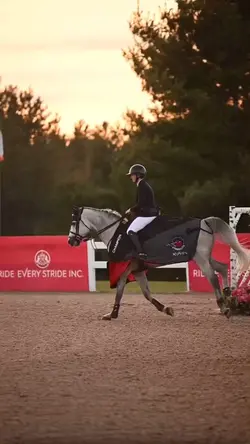 This video tho 😻