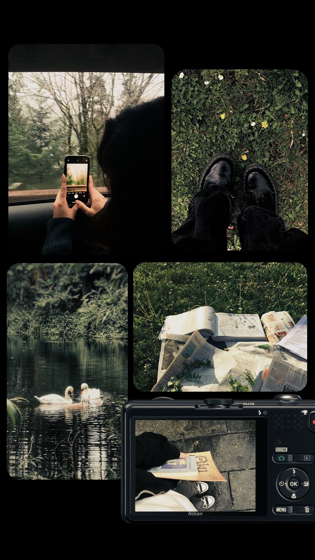 Frame aesthetic