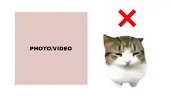 Cat yes or no 