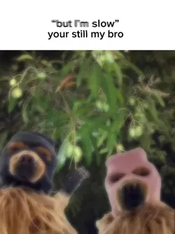 your still my bro