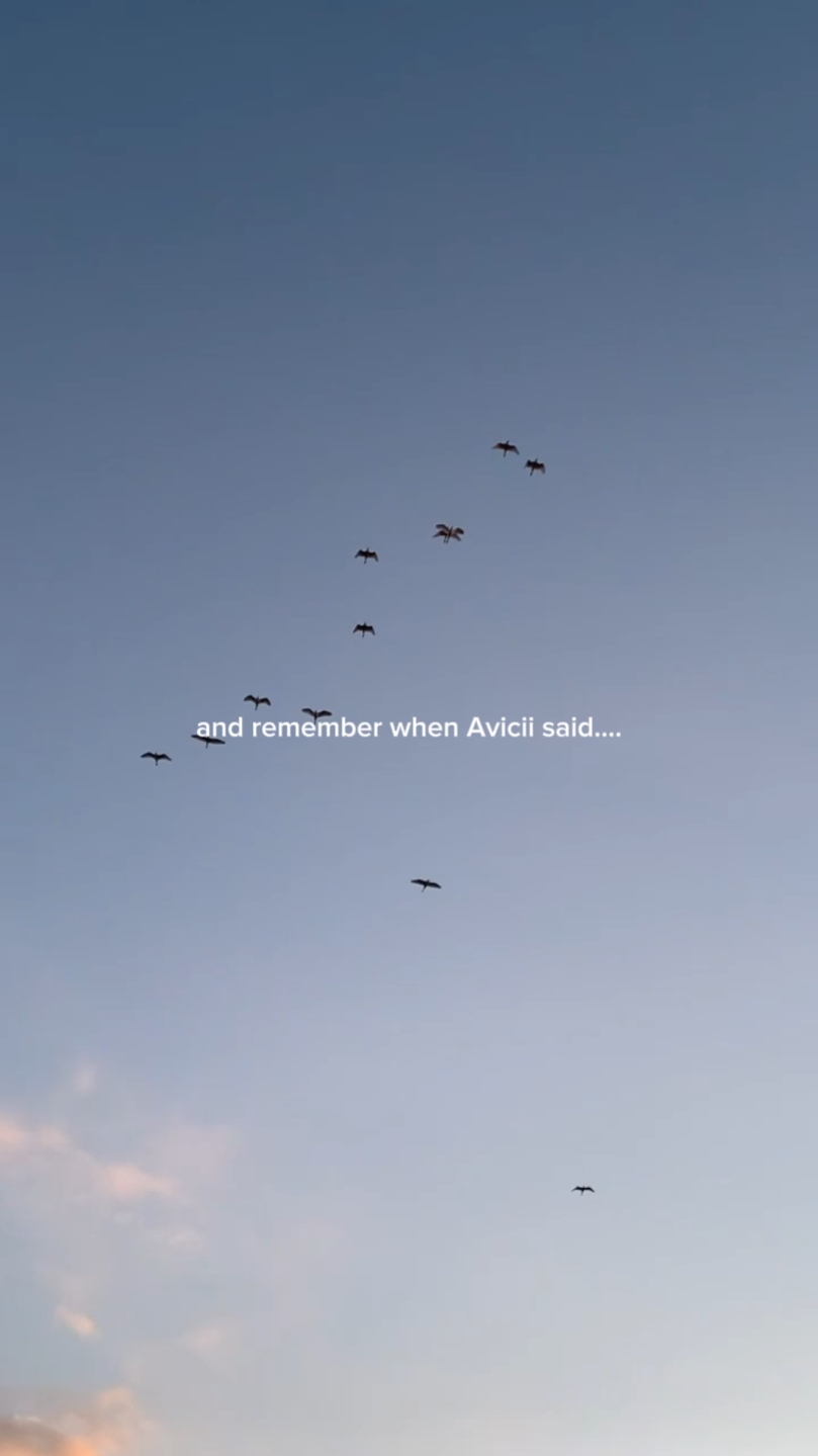 Avicii said... 
