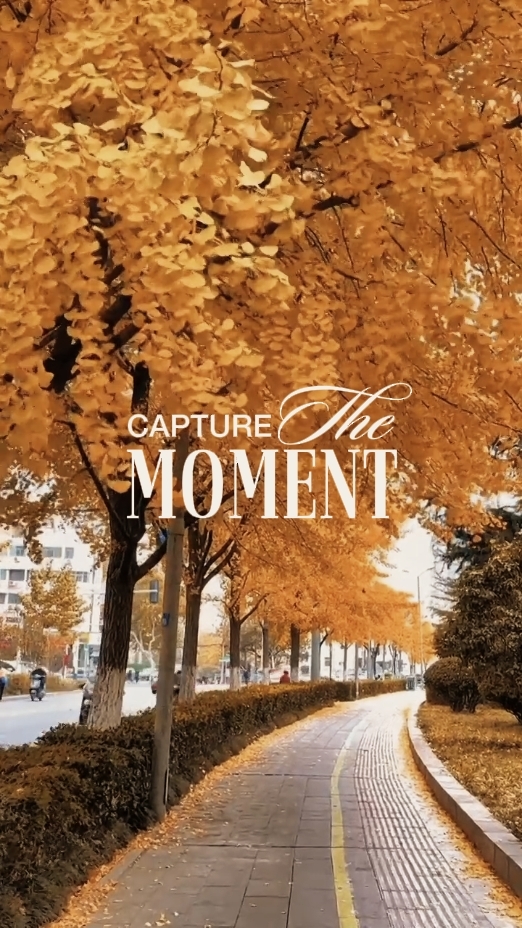 l'automne le moment