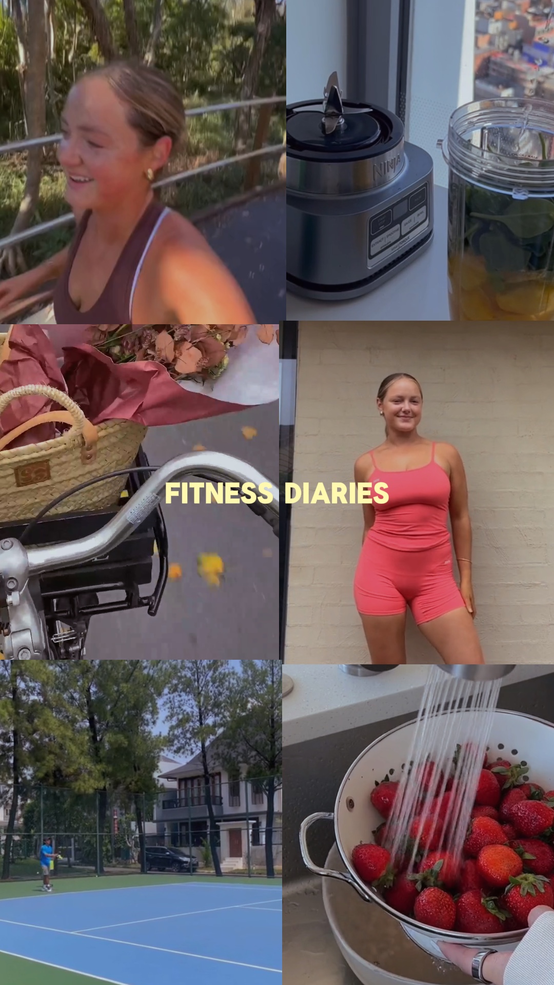 fitness diaries 