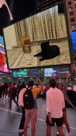 New York  Screen 