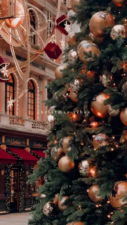 Christmas vibes Xmas
