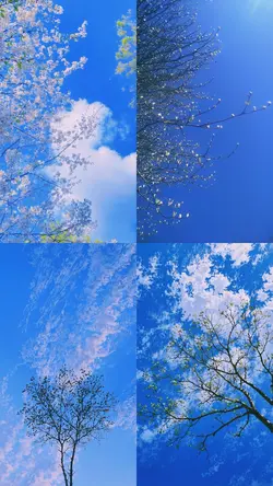 frame aesthetic