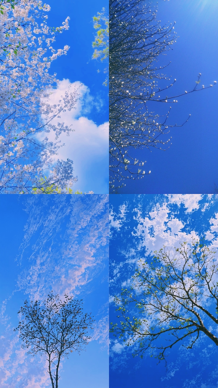 frame aesthetic 