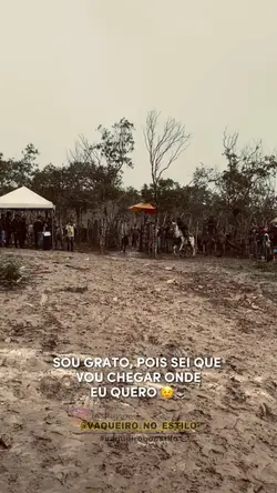 Rey  vaqueiro 