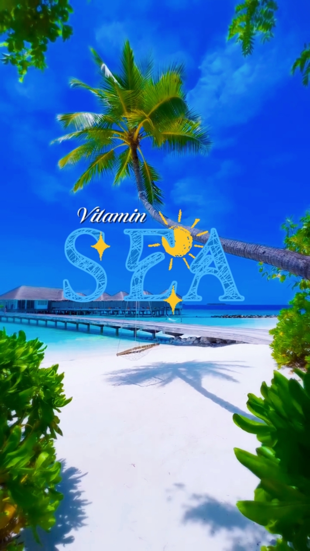 vitamin sea