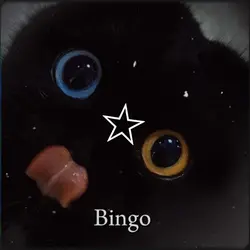bingo bingo 