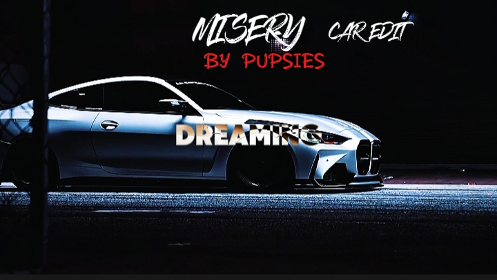 MISERY BY PUPSIES |