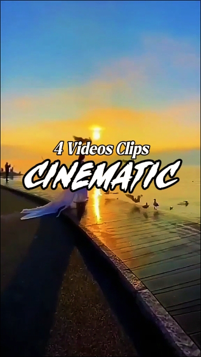 4 Videos Clips