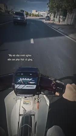 Con phải cố gắng 