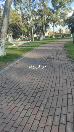 حروف رجل عجوز مبعثرة
