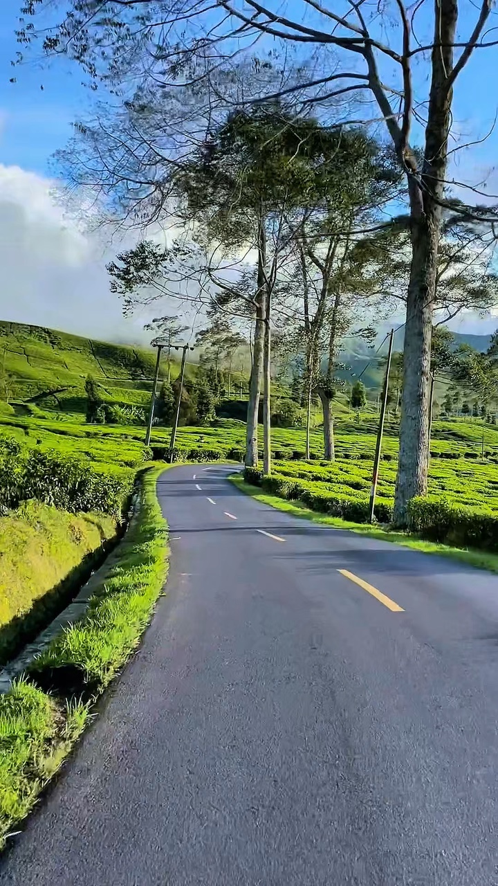 6 videos de viaje