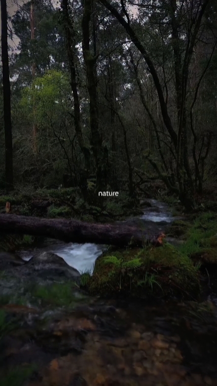 nature