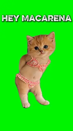 HEY MACARENA