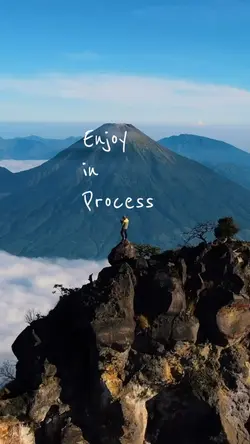 Enjoy in Process