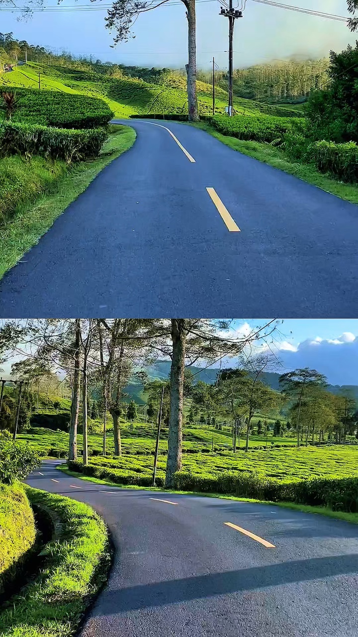 2 video collage