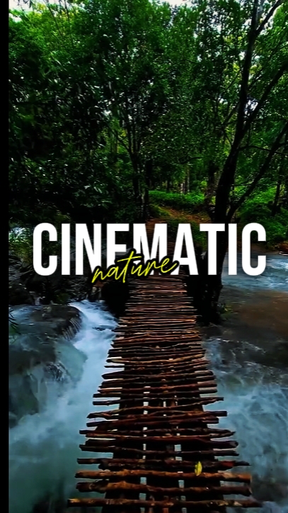 NATUREZA CINEMÁTICA