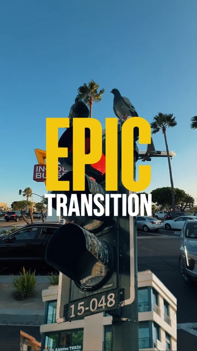 EPIC TRANSITION 
