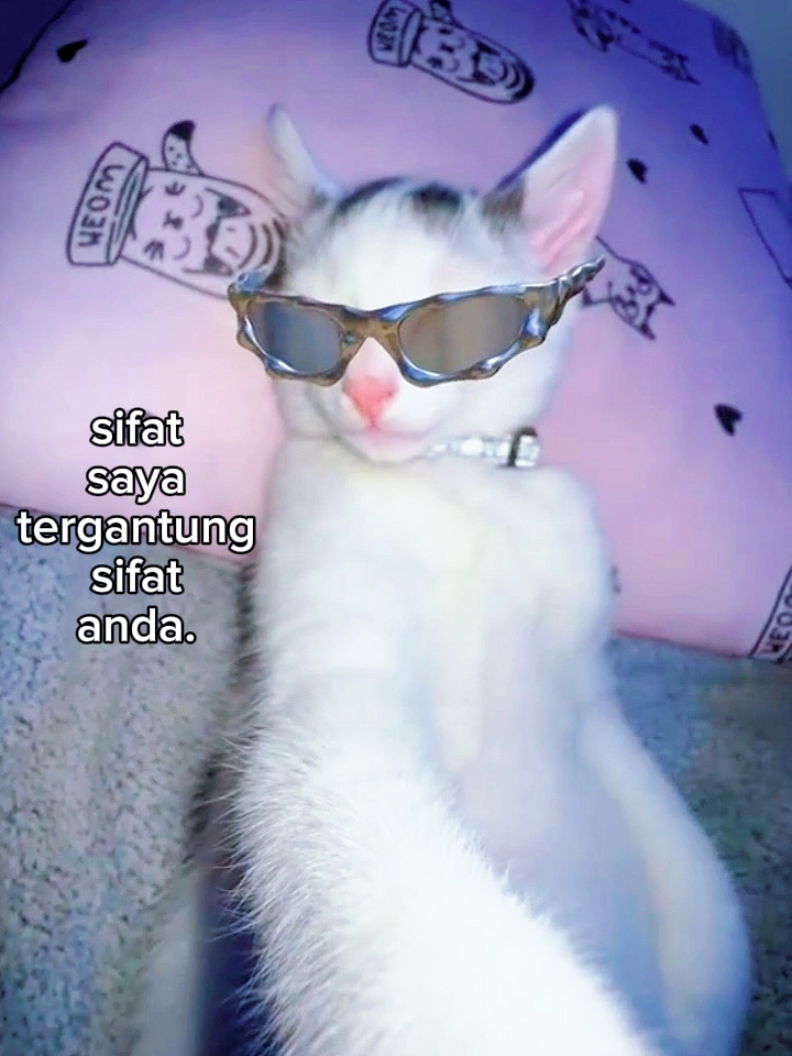foto siaran langsung kata kata