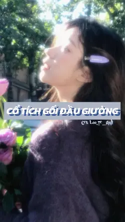 2 ảnh nhạc Trung 