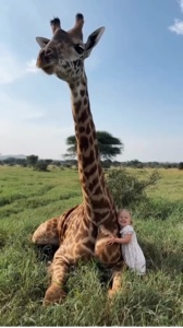 This time of africa