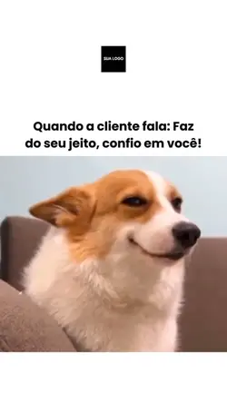 Feedback cliente