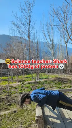 My Science Teacher